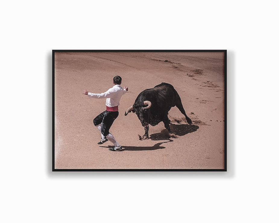 Spain Charging Bullnordic style wall decor