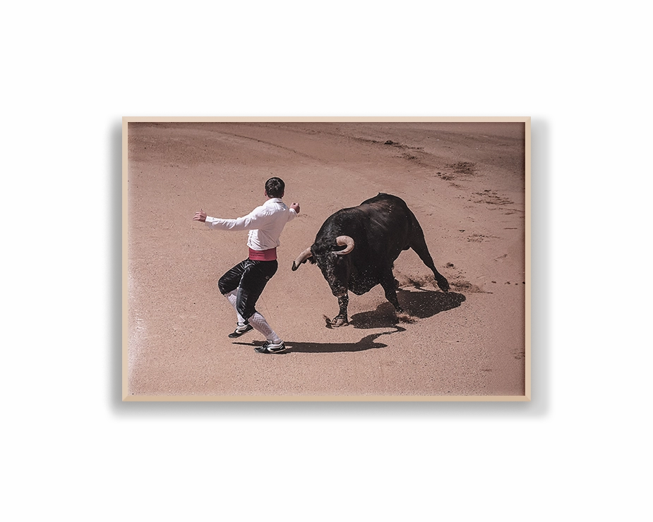 Spain Charging Bull