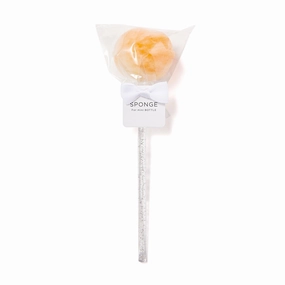 Sponge Chouchou Minibottle Orhome decor ,wall decor 