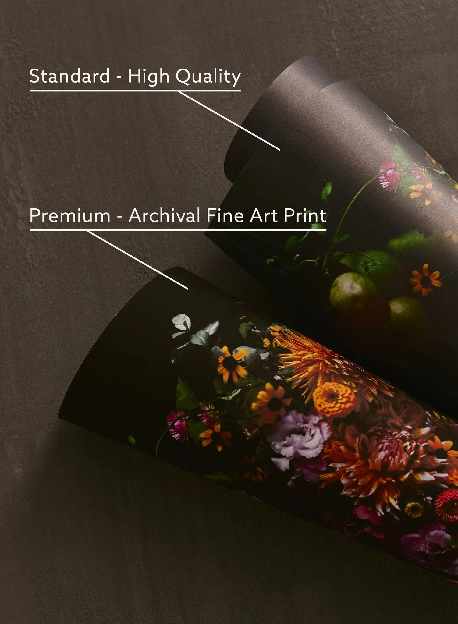 Spring on a Cloud, Poster