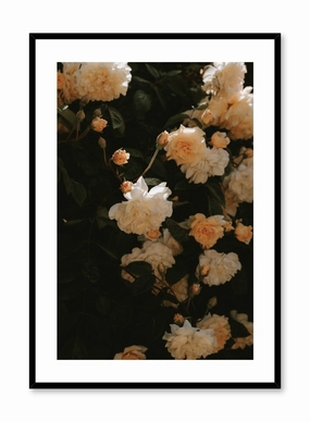 Sun-Kissed Flowers, Posterpop culture themed posters