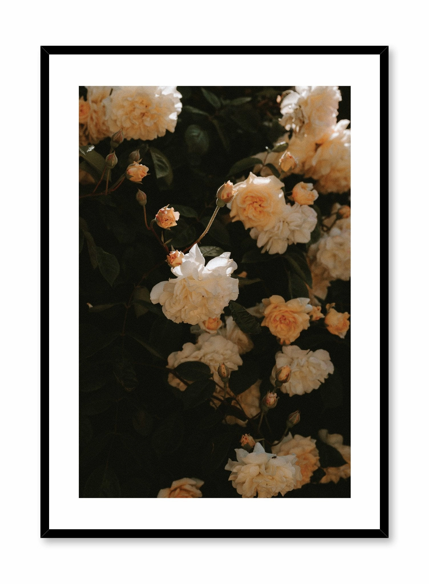 Sun-Kissed Flowers, Posterpop culture themed posters