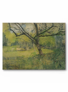 Sunny Day Clearing, Canvasindoor decorative canvas print