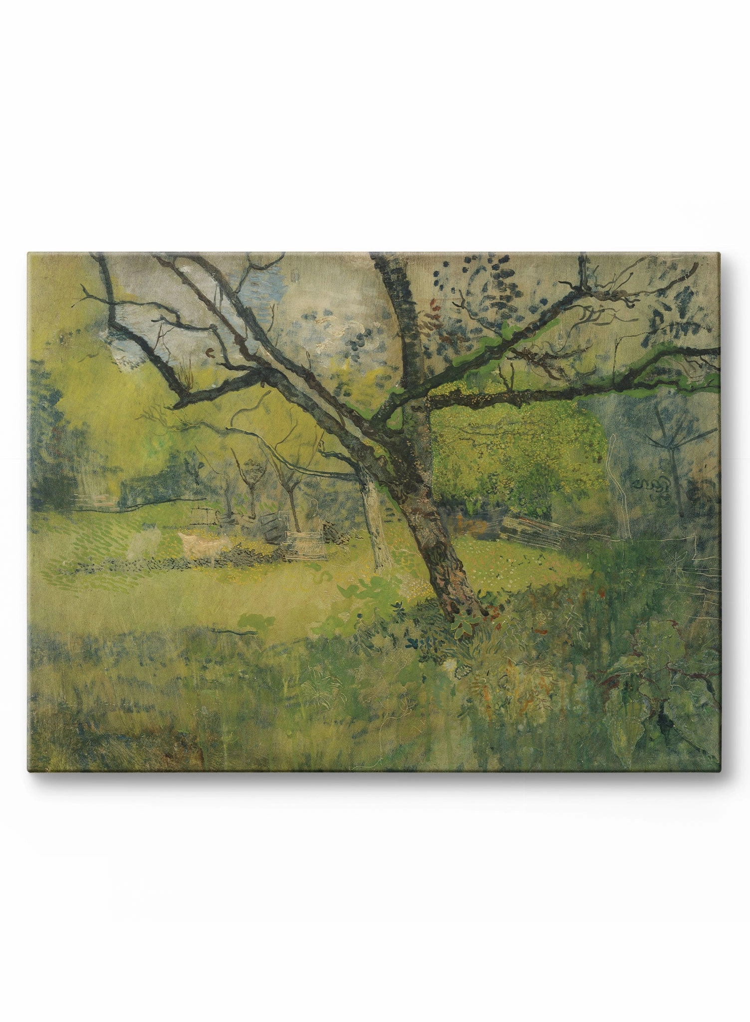 Sunny Day Clearing, Canvasindoor decorative canvas print