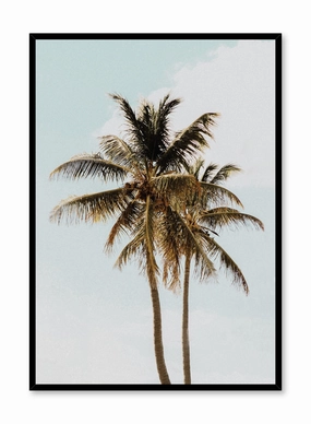 Sunny Palms, Posterpop culture themed posters