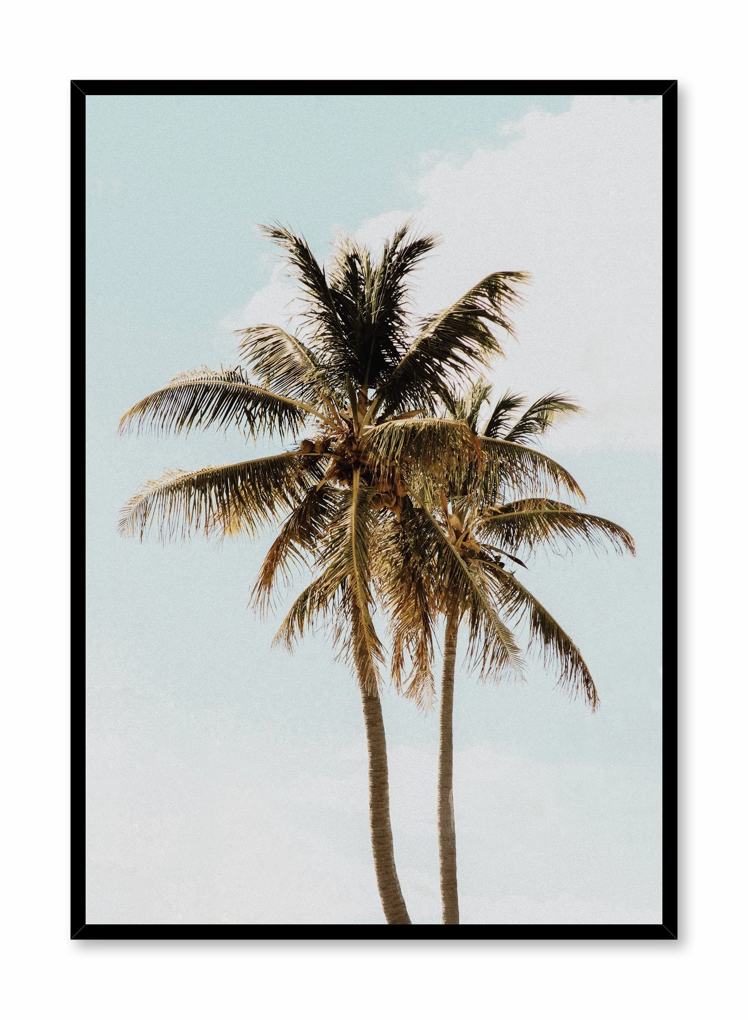 Sunny Palms, Posterpop culture themed posters