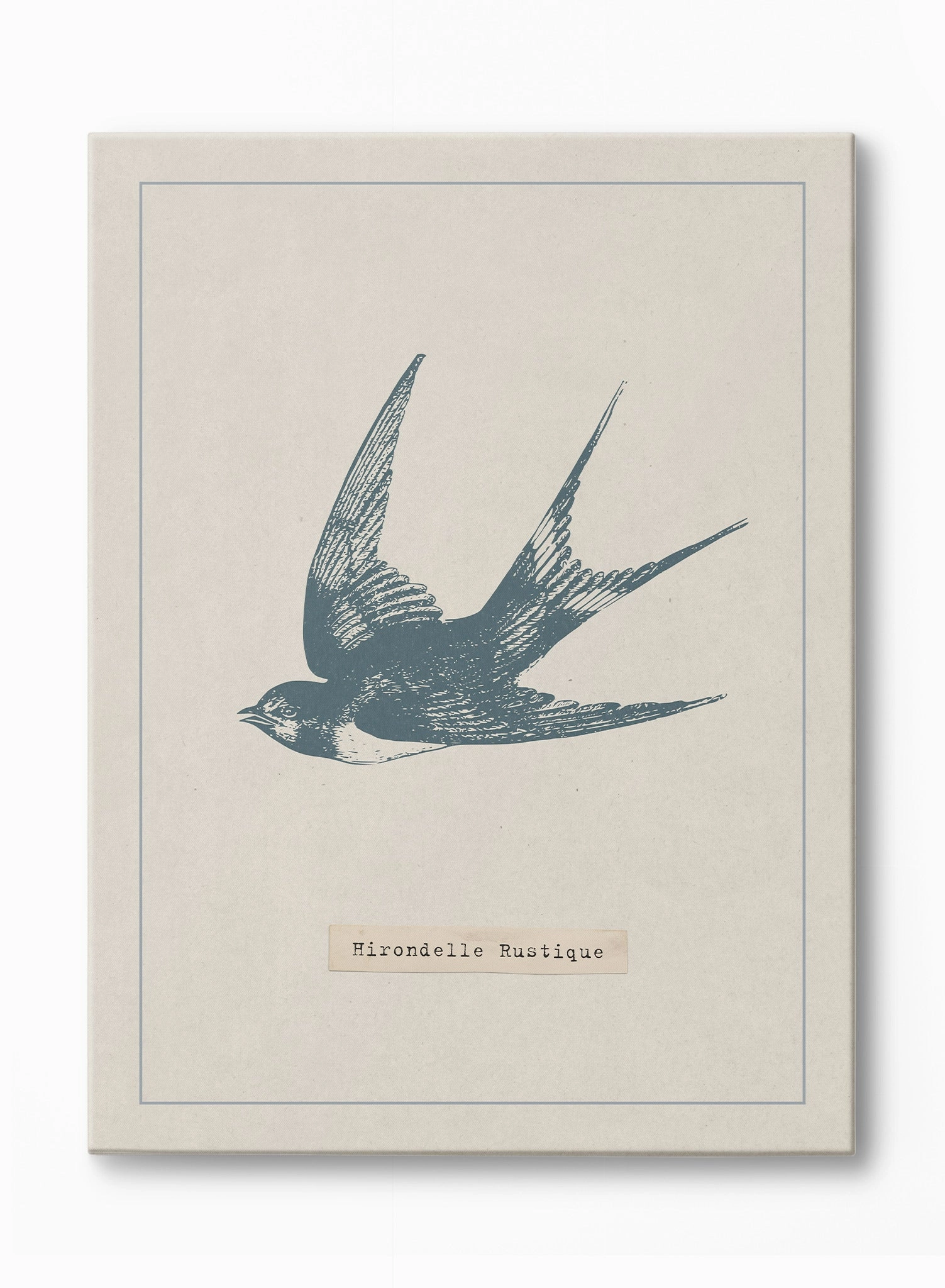 Swooping Swallow, Canvasindoor decorative canvas print