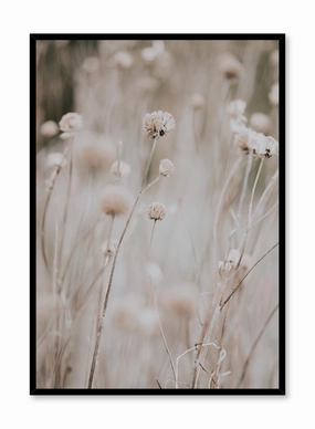 Tall Stems, Posterpop culture themed posters