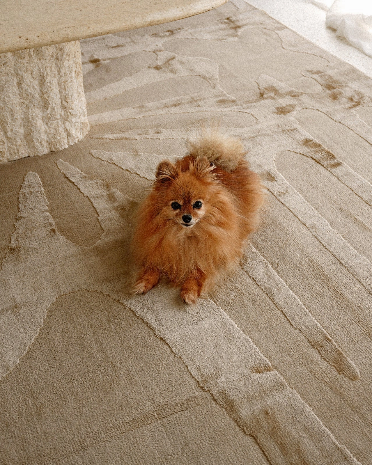 Tann Textured Abstract Neutral Washable Rug