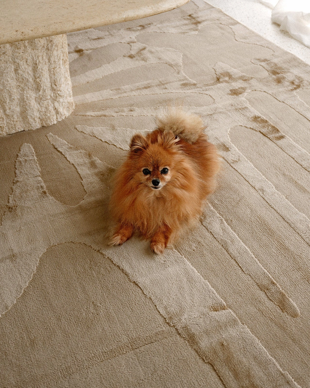 Tann Textured Abstract Neutral Washable Rug