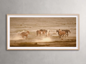 The Great Plains I Framed Printhome decor ,wall decor 