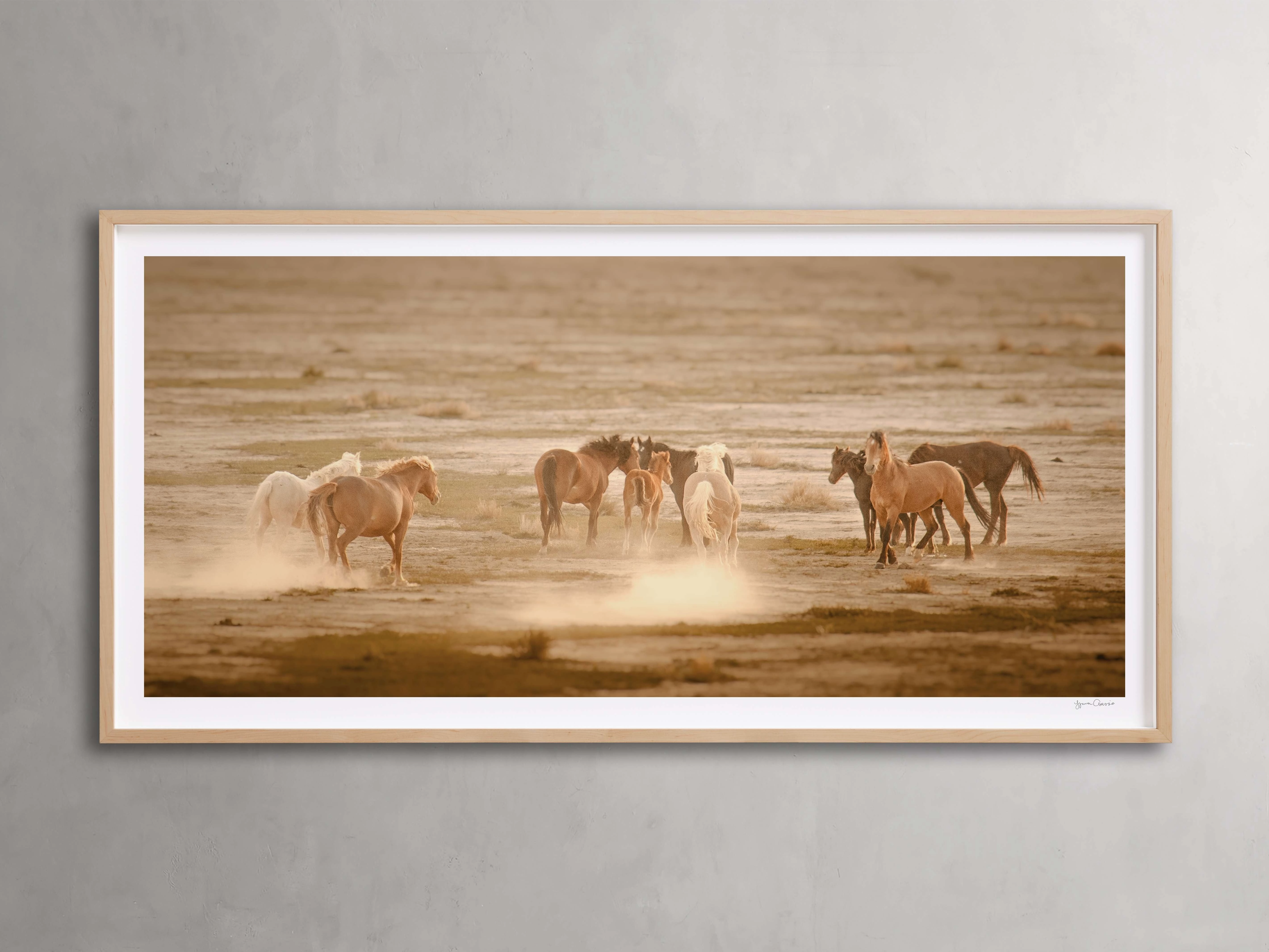 The Great Plains I Framed Printhome decor ,wall decor 