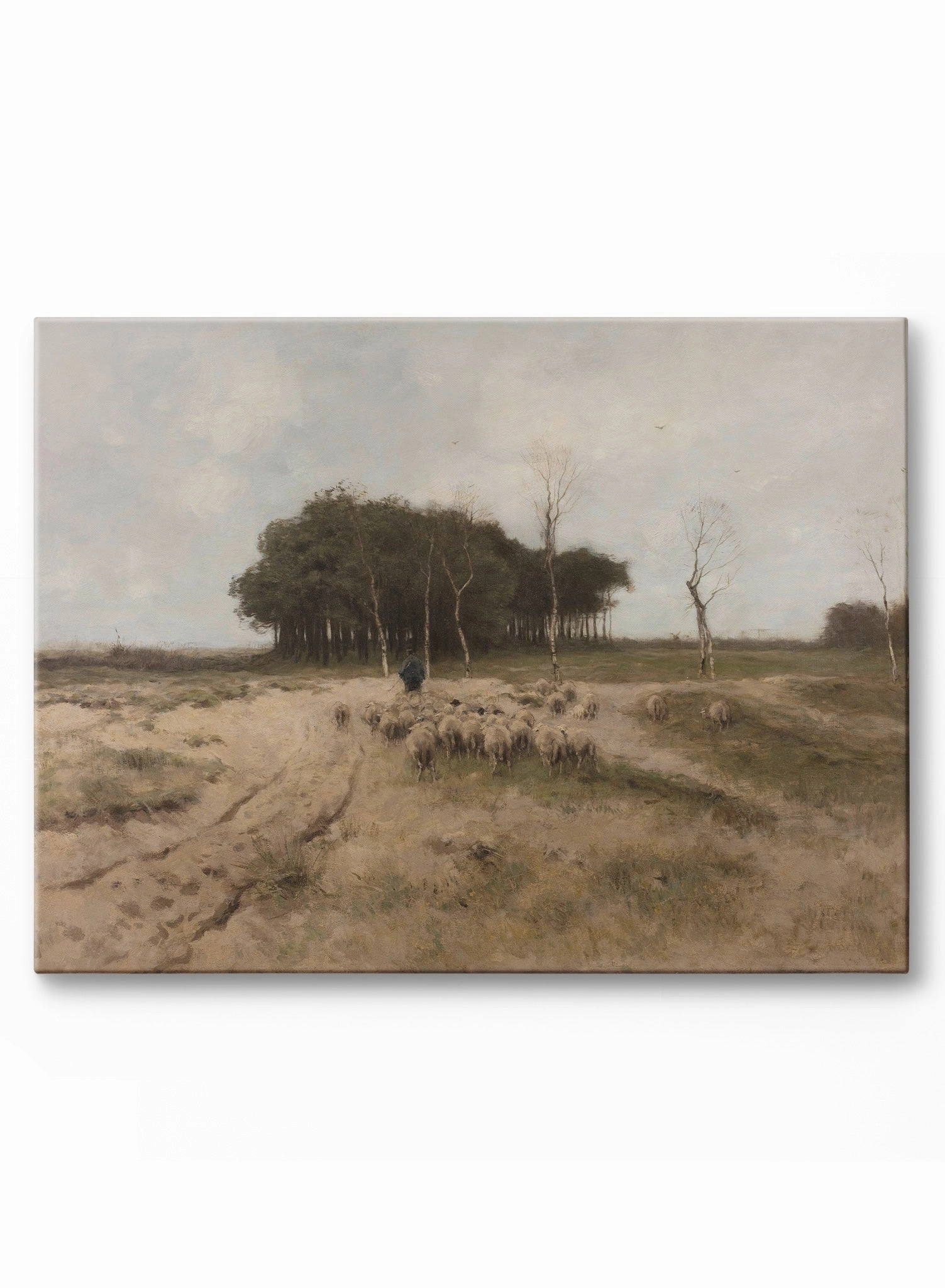 The Heath, Canvasindoor decorative canvas print