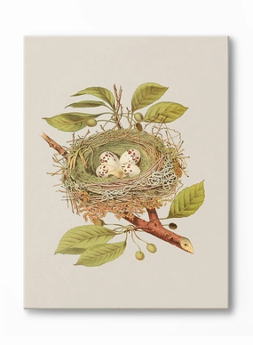 The Promise of Tomorrow, Canvasindoor decorative canvas print