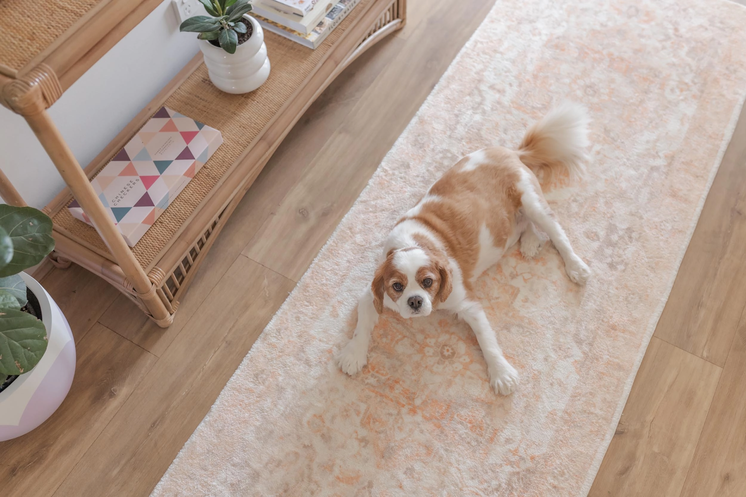 Theodora Orange and Beige Distressed Washable Runner Rug *NO RETURNS UNLESS FAULTY