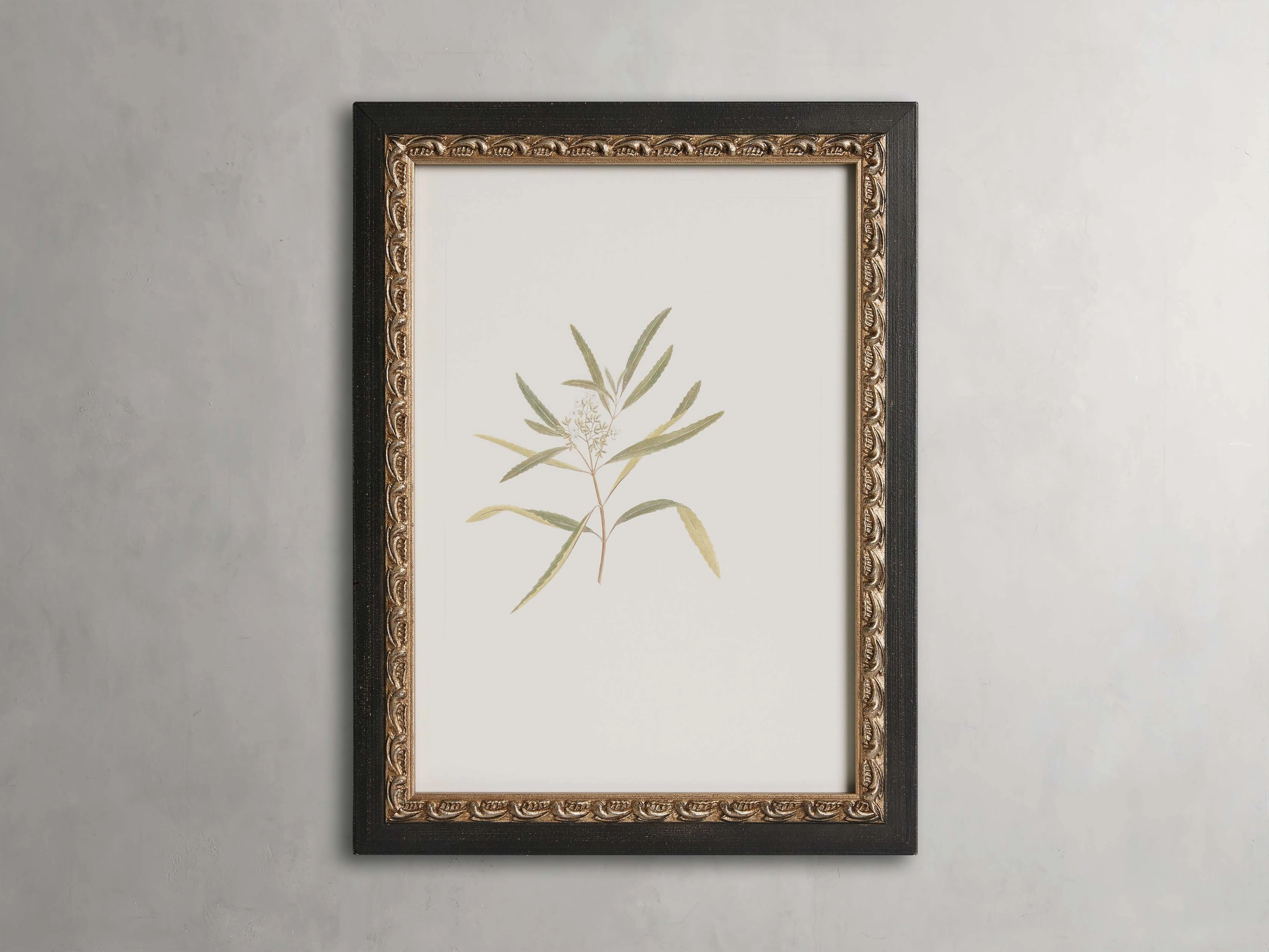 Thistle Framed Printhome decor ,wall decor 