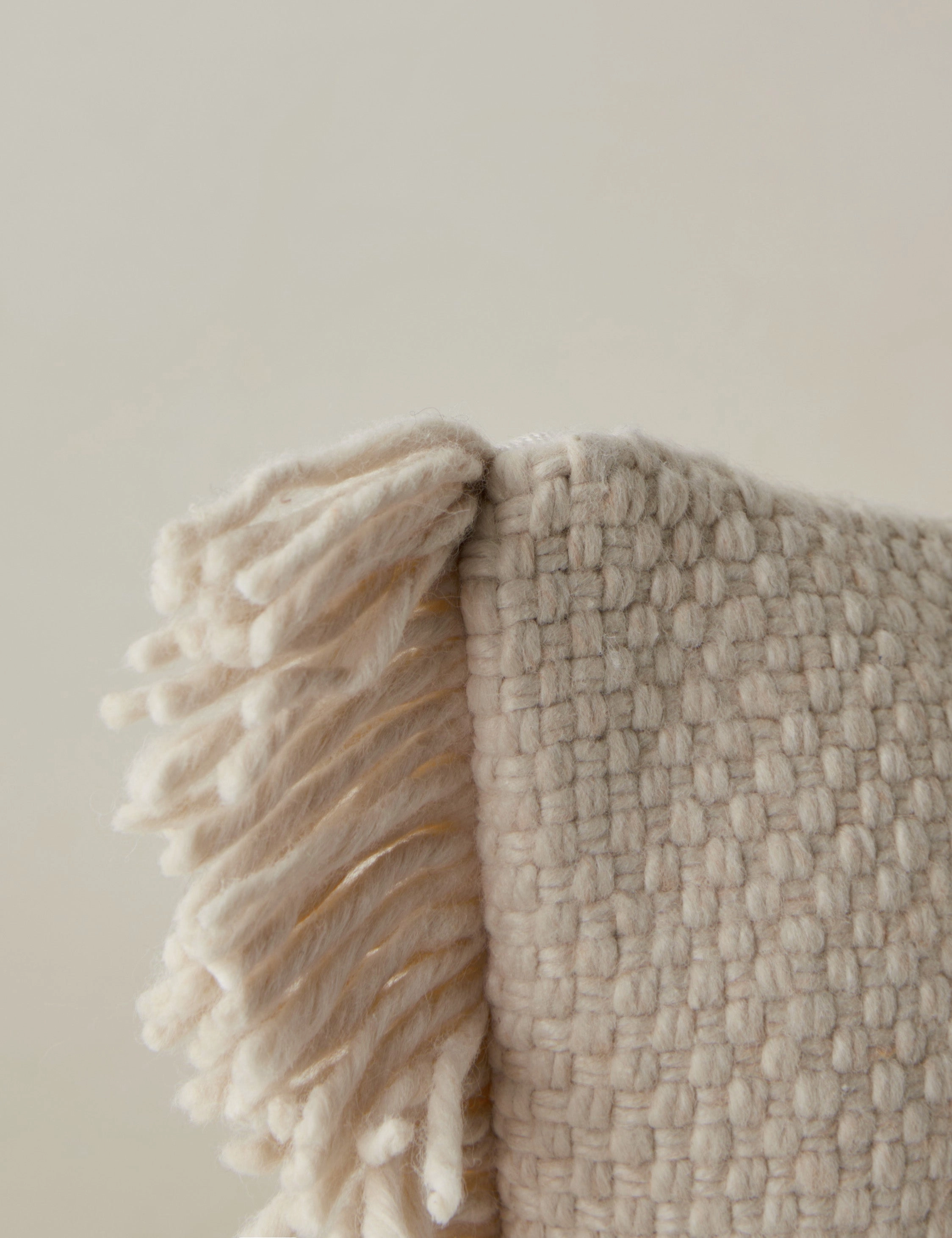 Thorpe Indoor / Outdoor Pillow