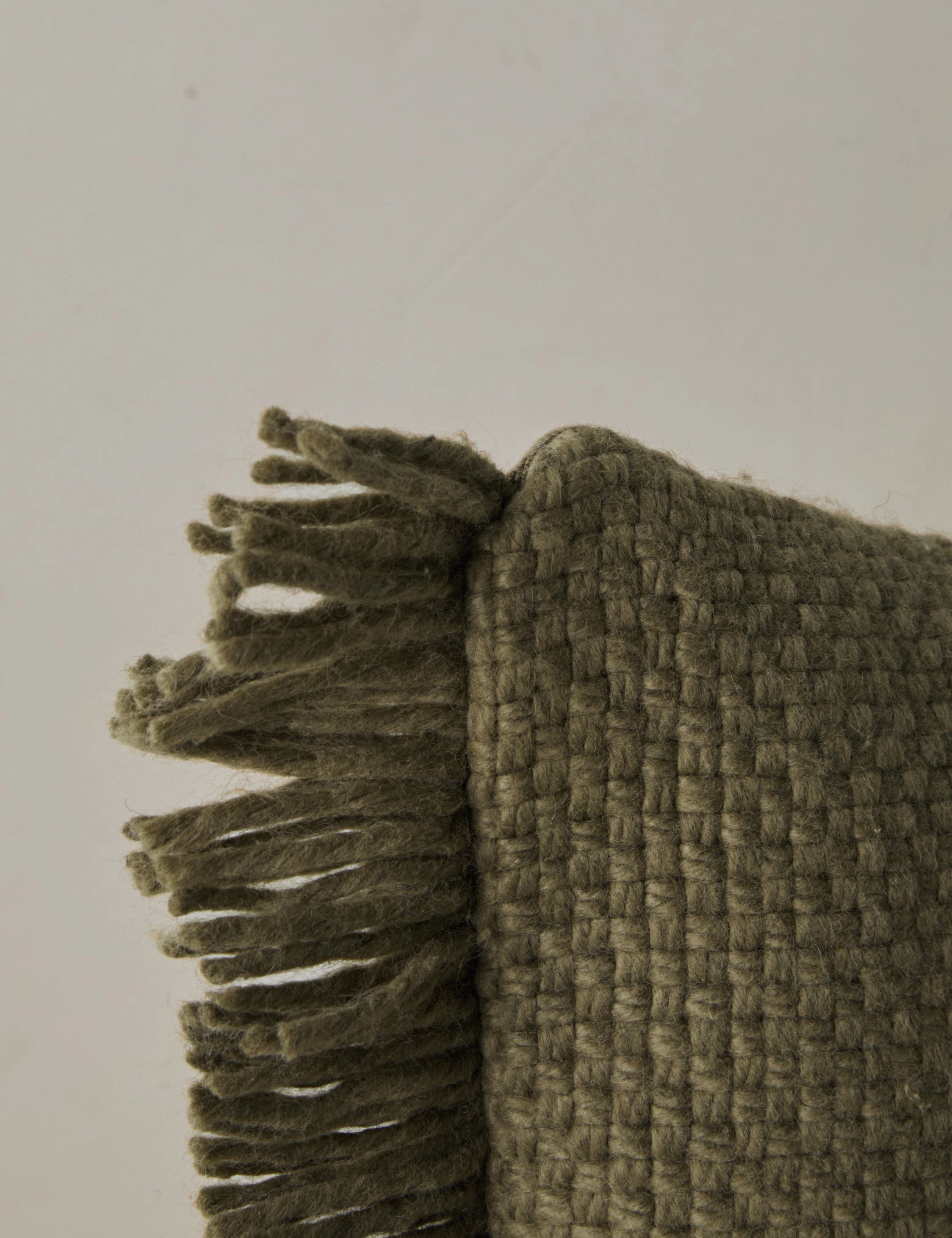 Thorpe Indoor / Outdoor Pillow
