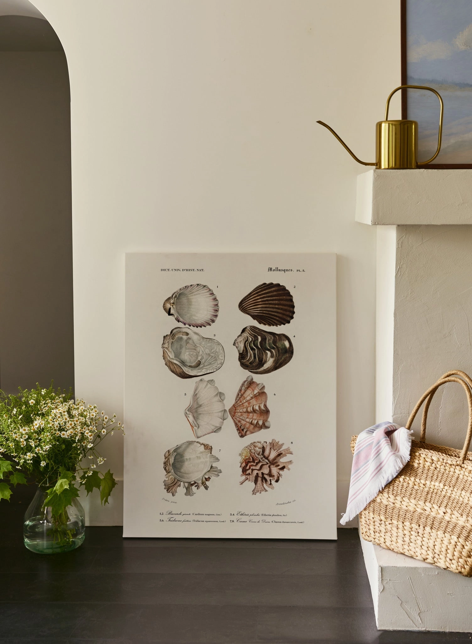 Tidepool Treasures, Canvas