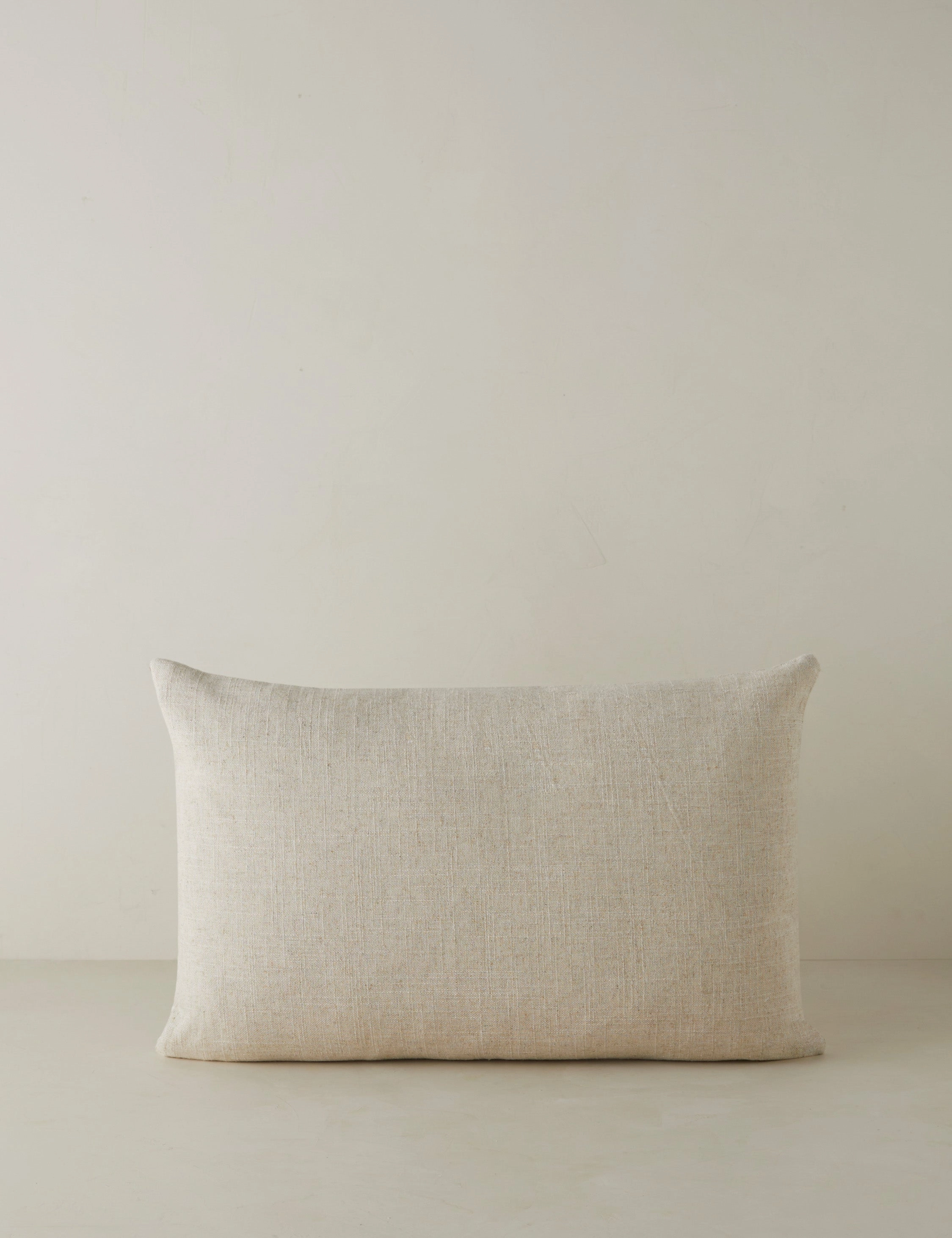 Topos Embroidered Pillow by lan Byrd