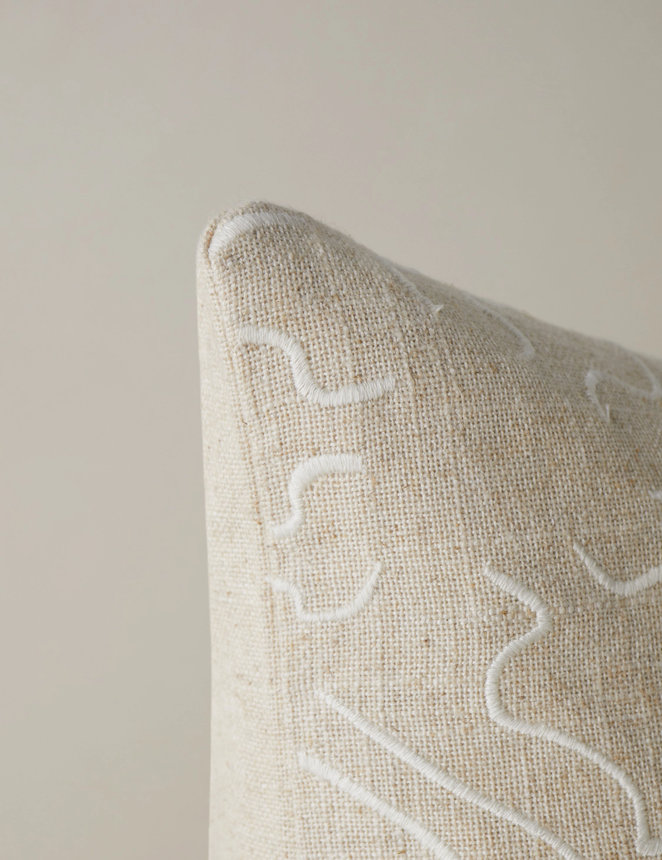 Topos Embroidered Pillow by lan Byrd