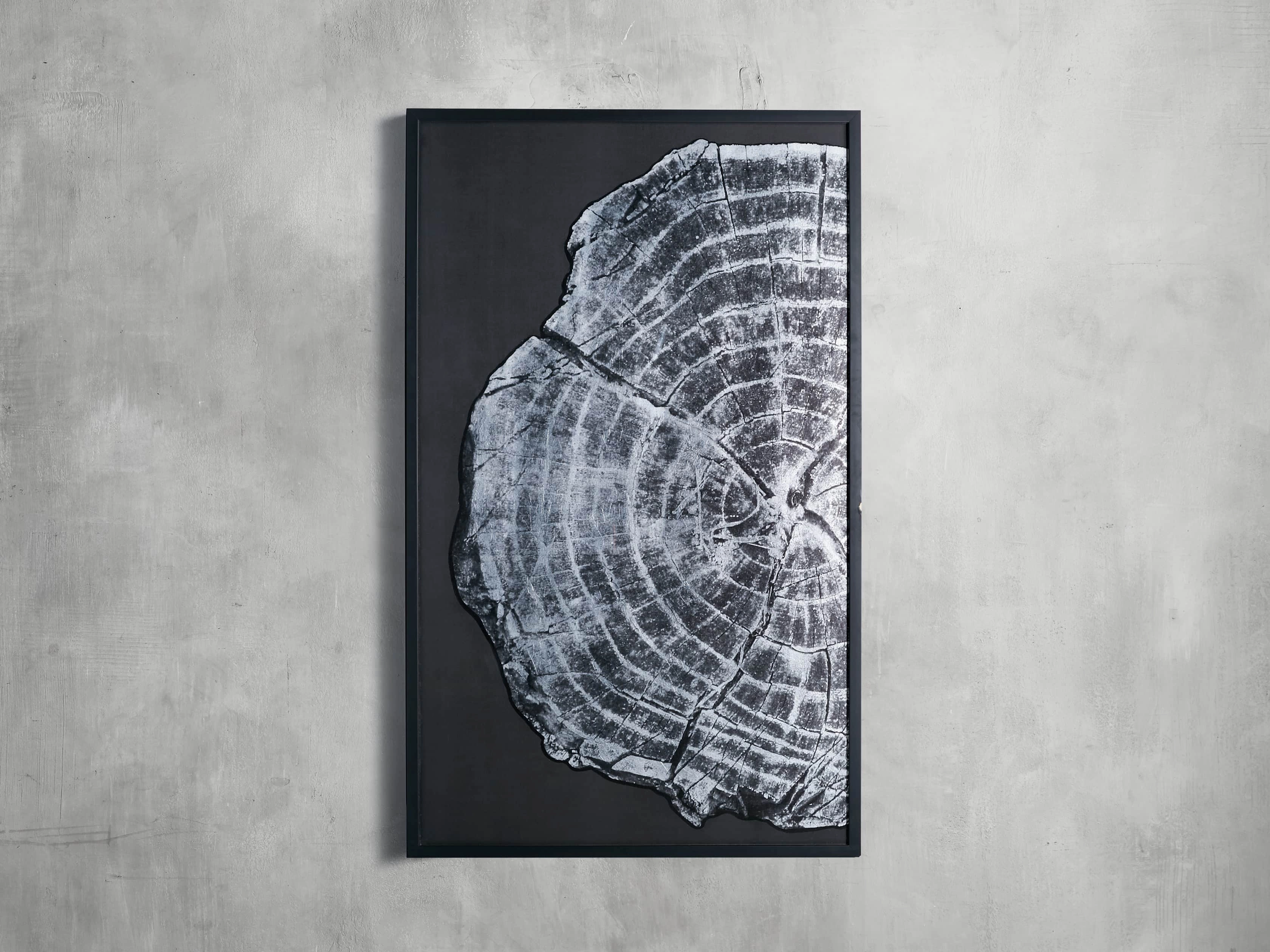 Tree Ring I Framed Printnordic style wall decor