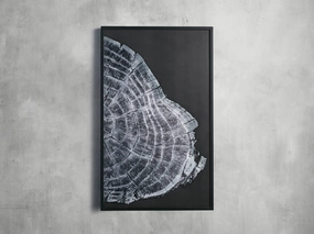 Tree Ring II Framed Printhome decor ,wall decor 