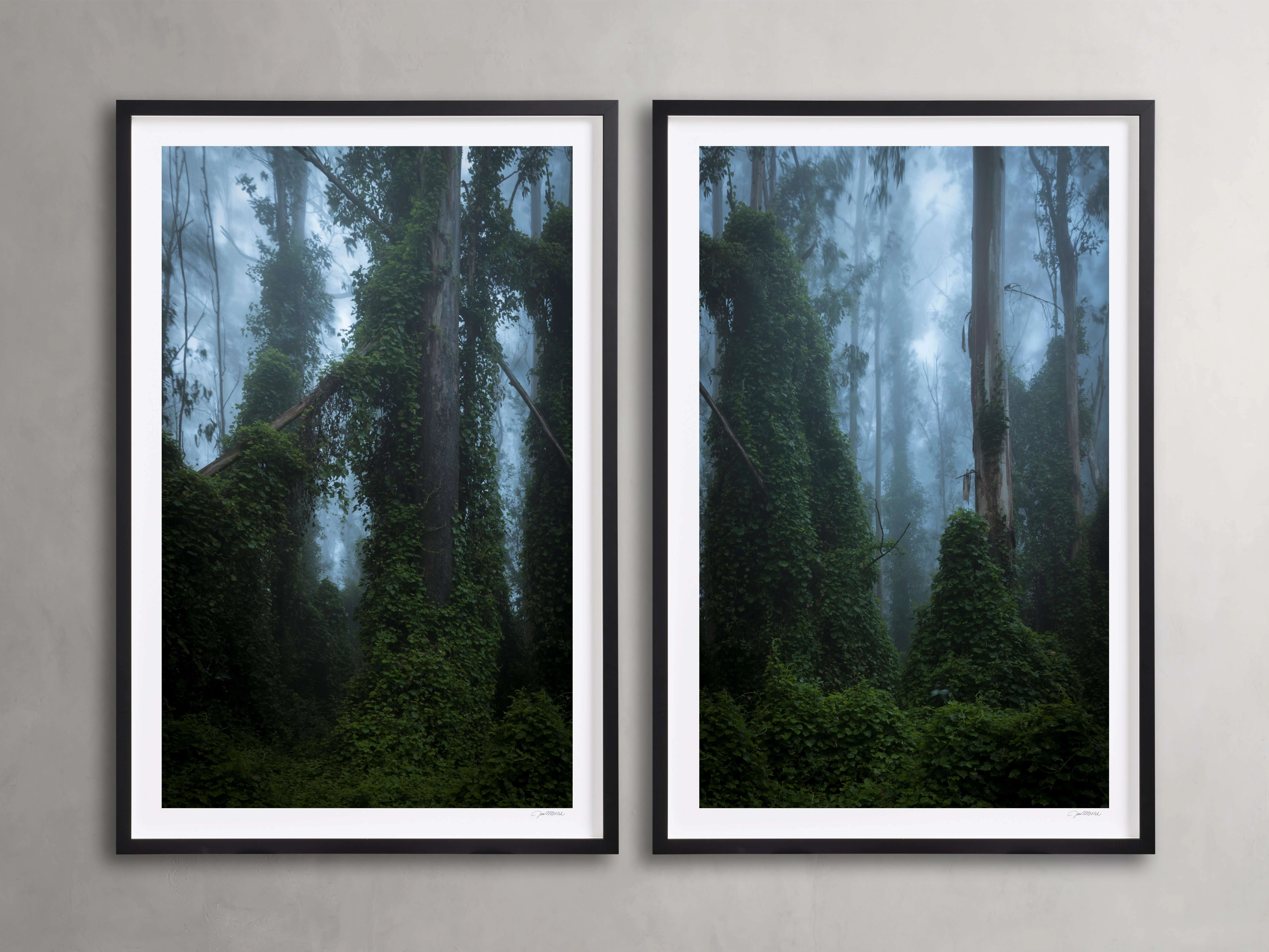 Trees & Shadows III Framed Print (Set of 2)nordic style wall decor