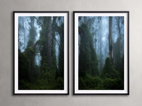Trees & Shadows III Framed Print (Set of 2)nordic style wall decor