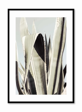 Tropical Flora, Posterpop culture themed posters