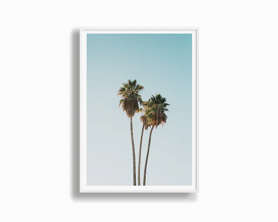 Tropics
