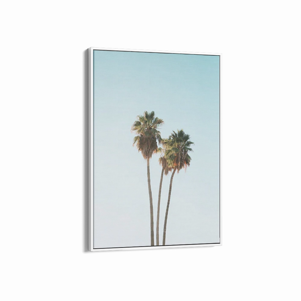 Tropics