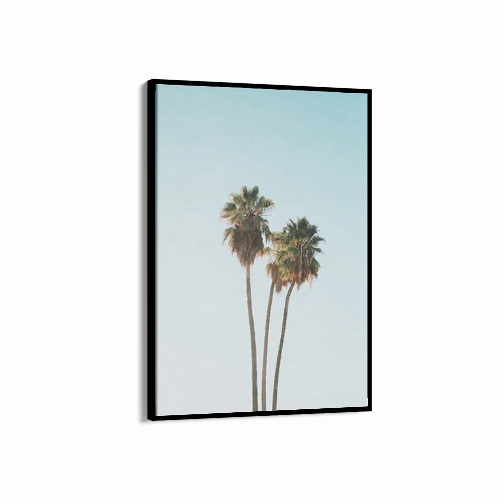 Tropics