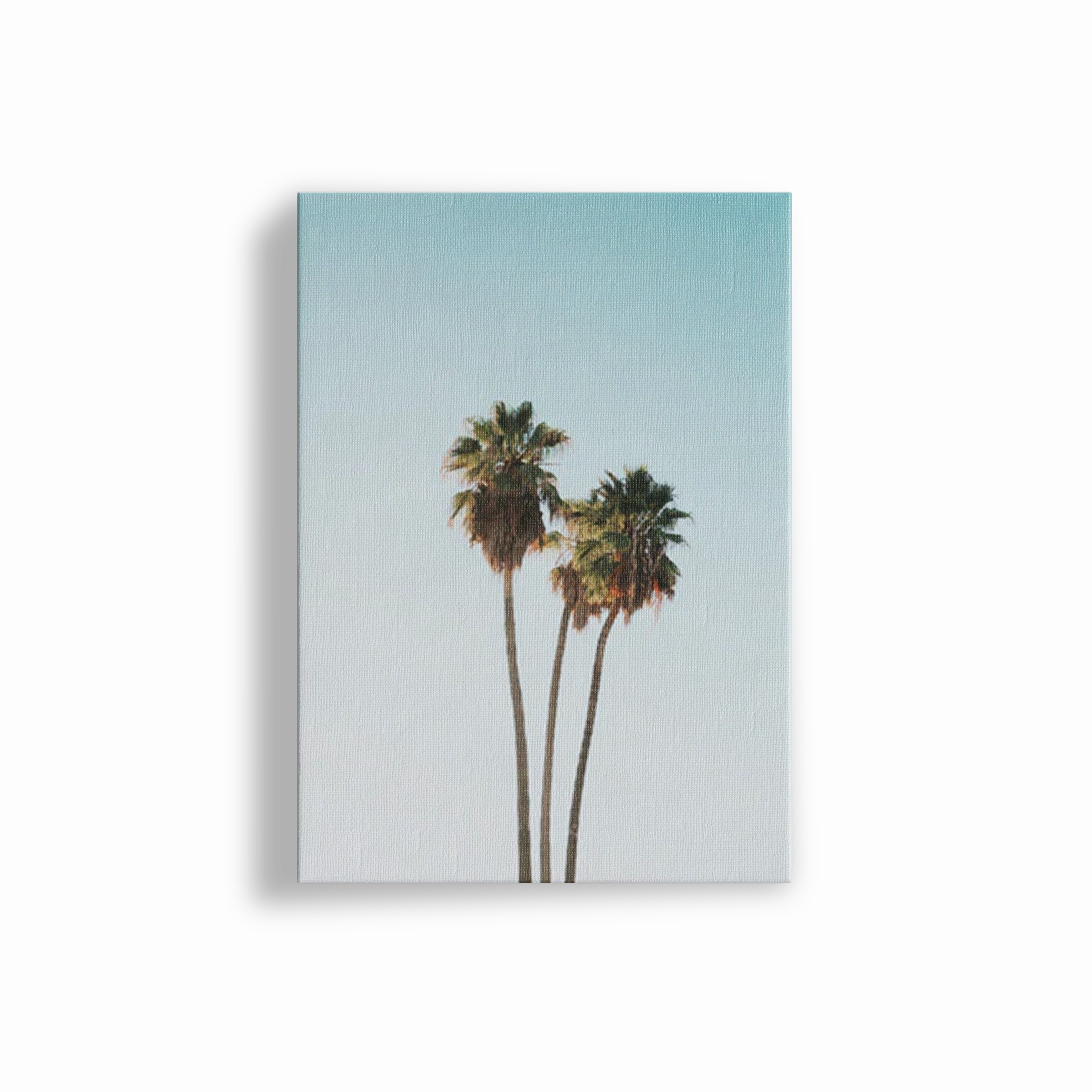 Tropics