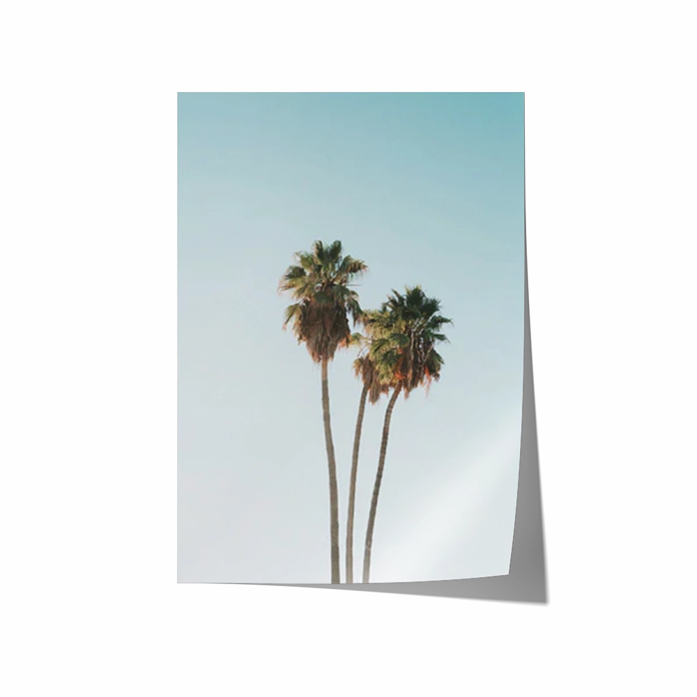 Tropics