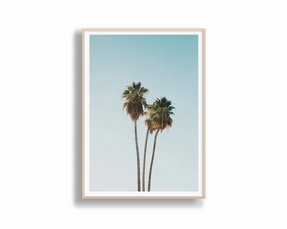 Tropics