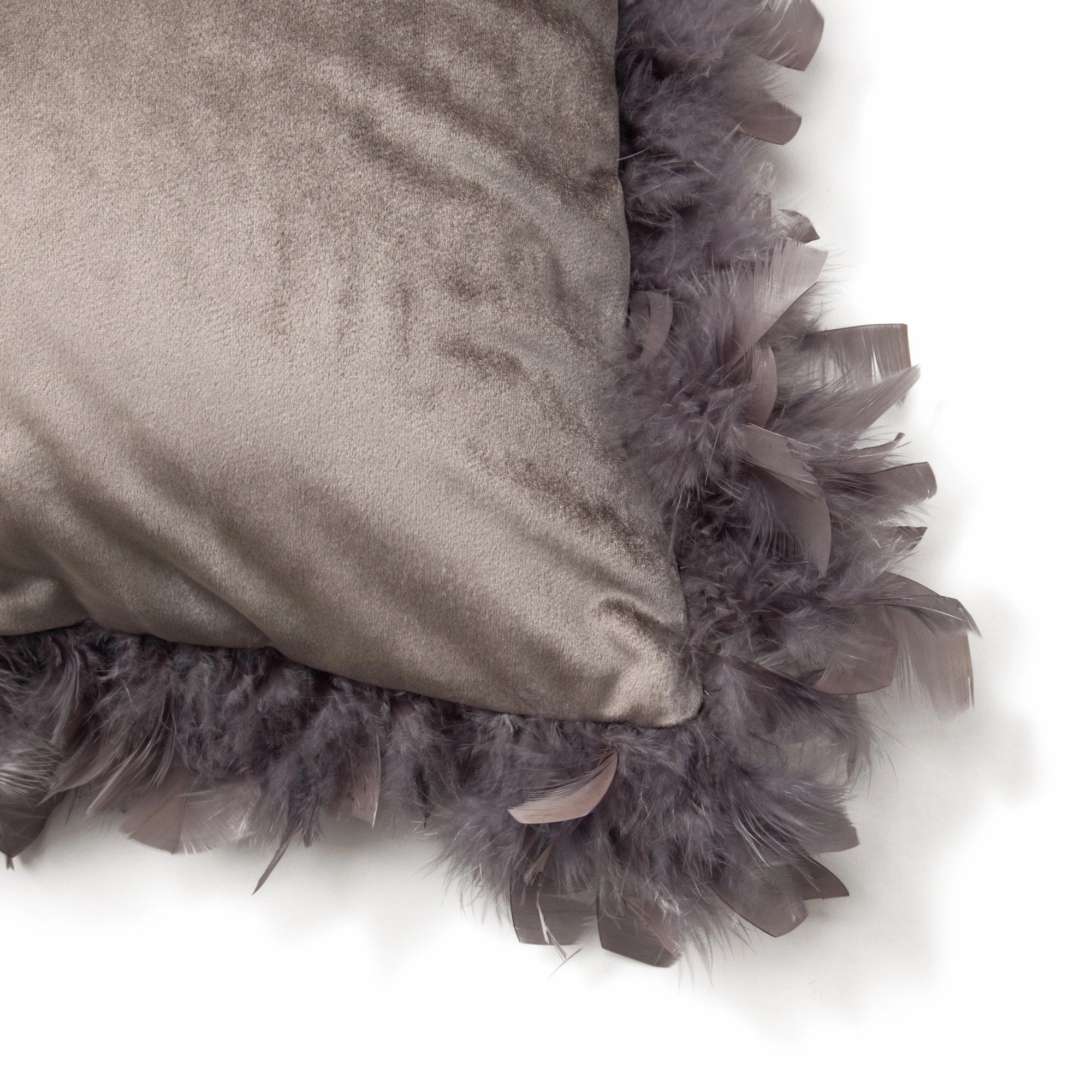 Velvet Feather Cushion Cover 450 X 450 Gray