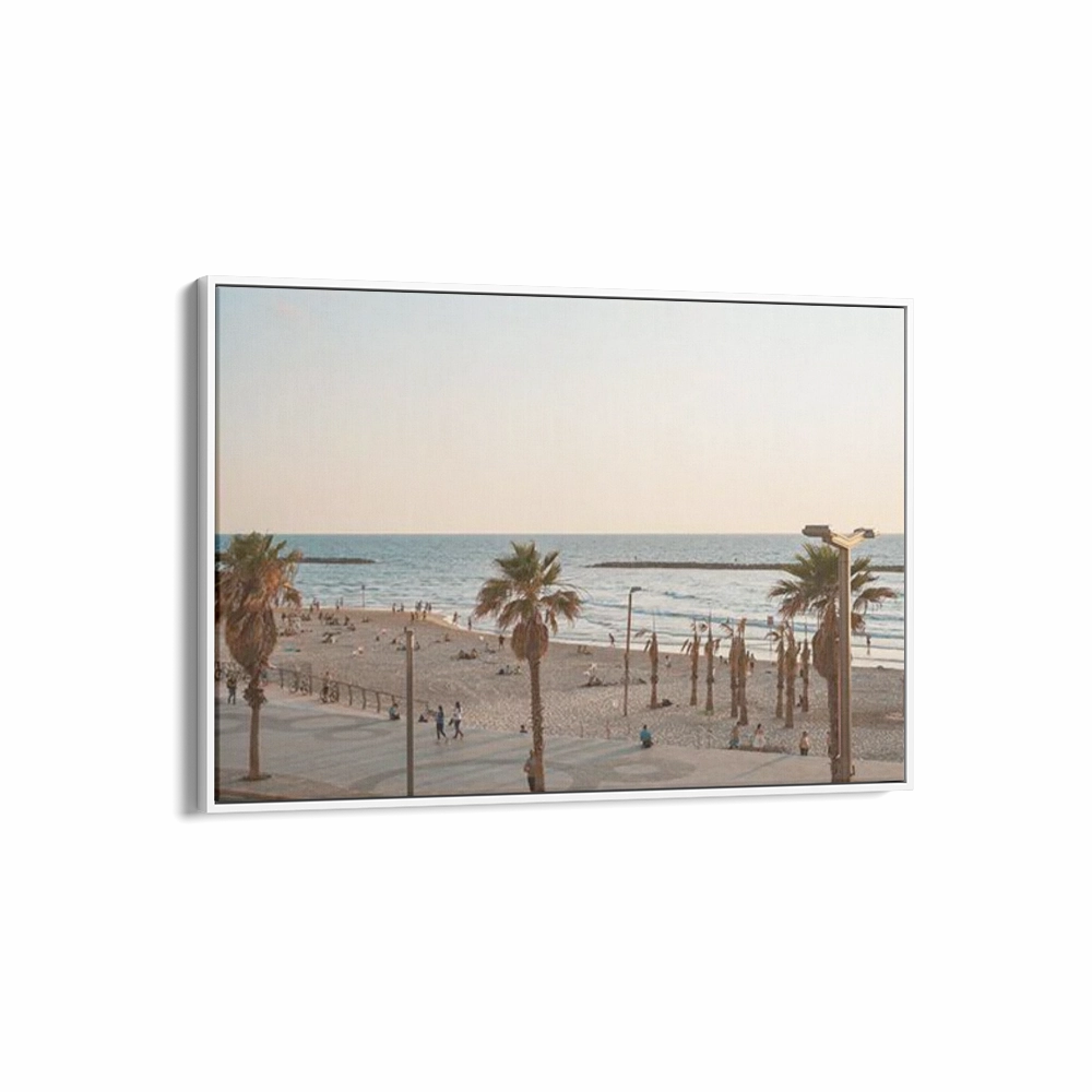 Venice Beach Summer