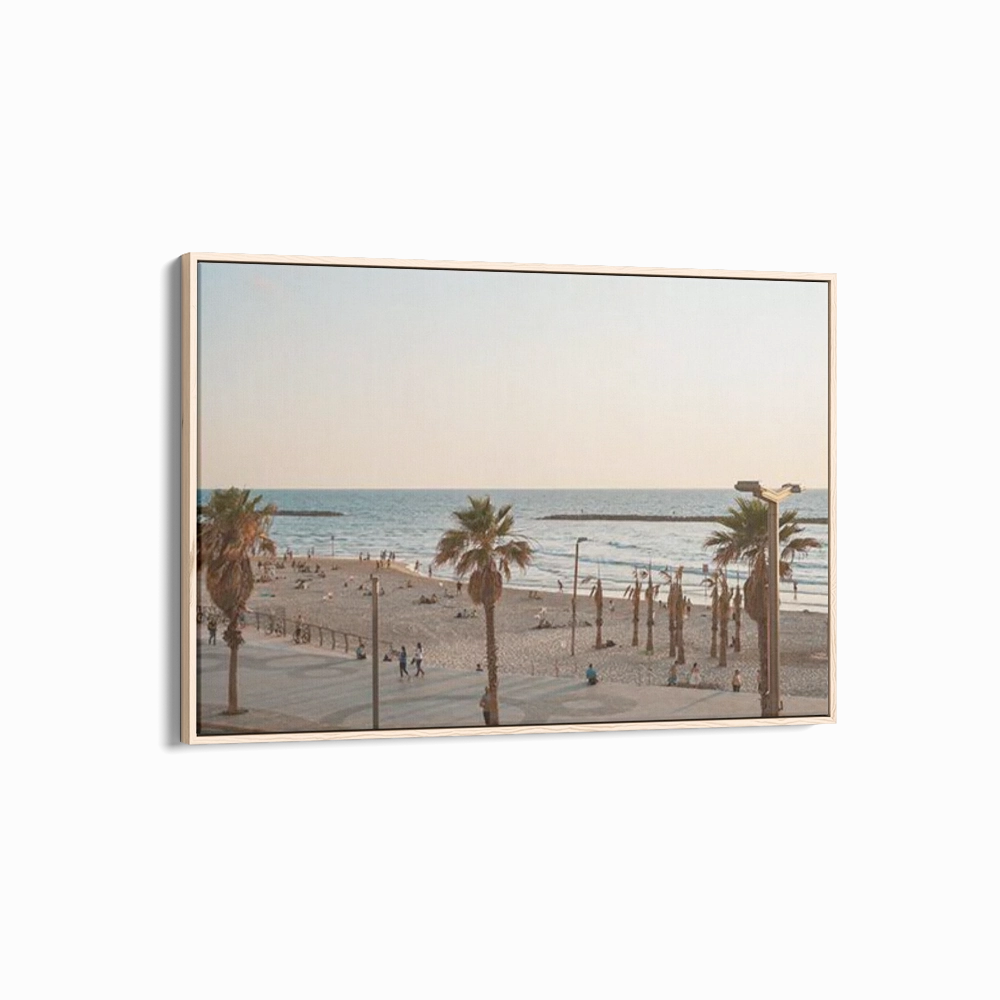 Venice Beach Summer