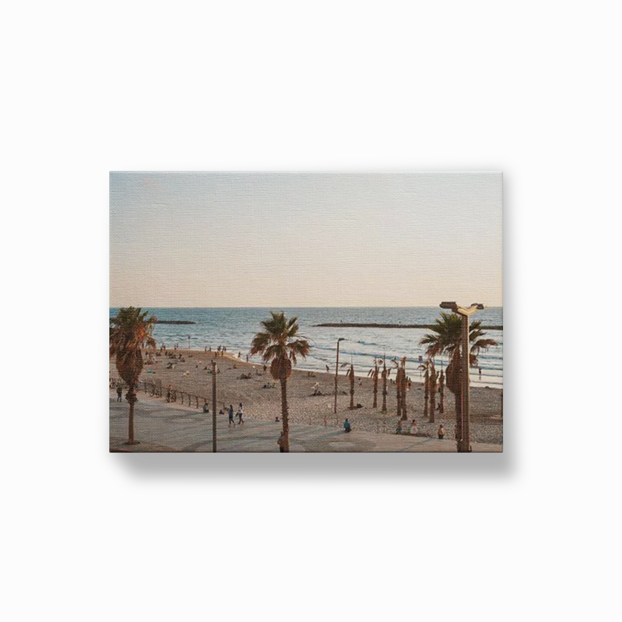 Venice Beach Summer