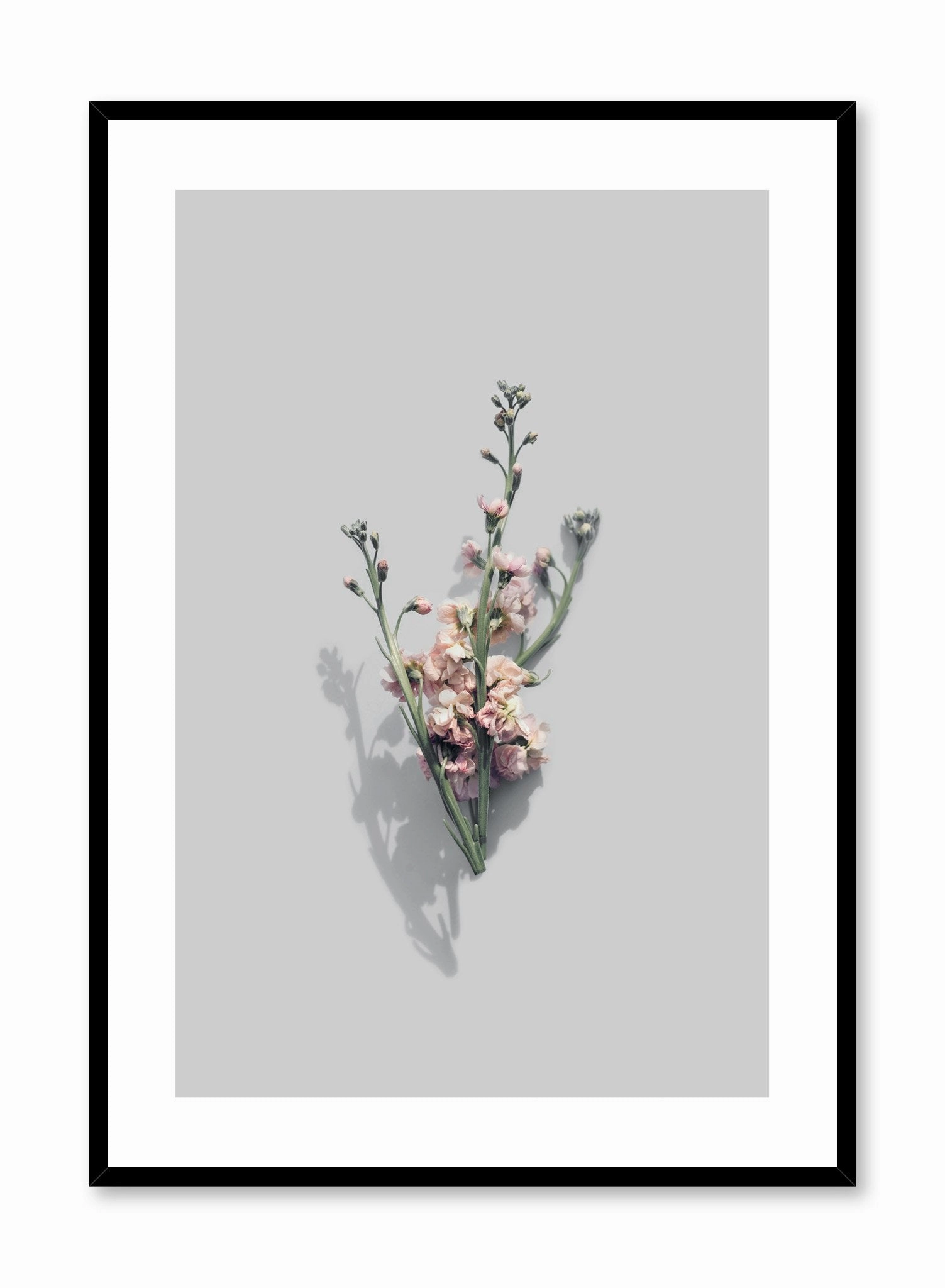 Vintage Blooms, Posterpop culture themed posters