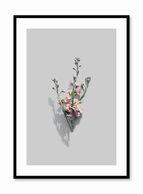 Vintage Blooms, Posterpop culture themed posters