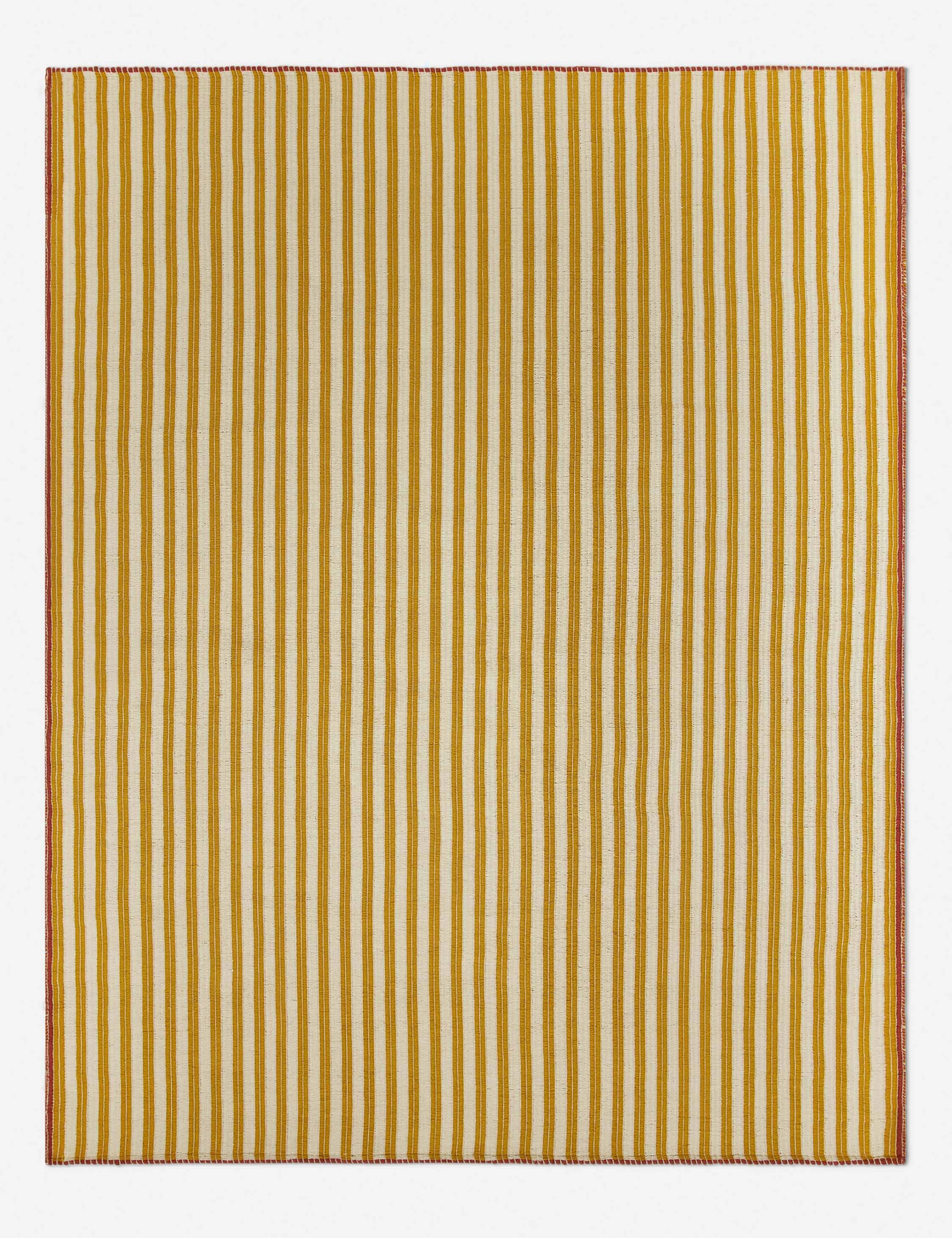 Volante Indoor / Outdoor Rug