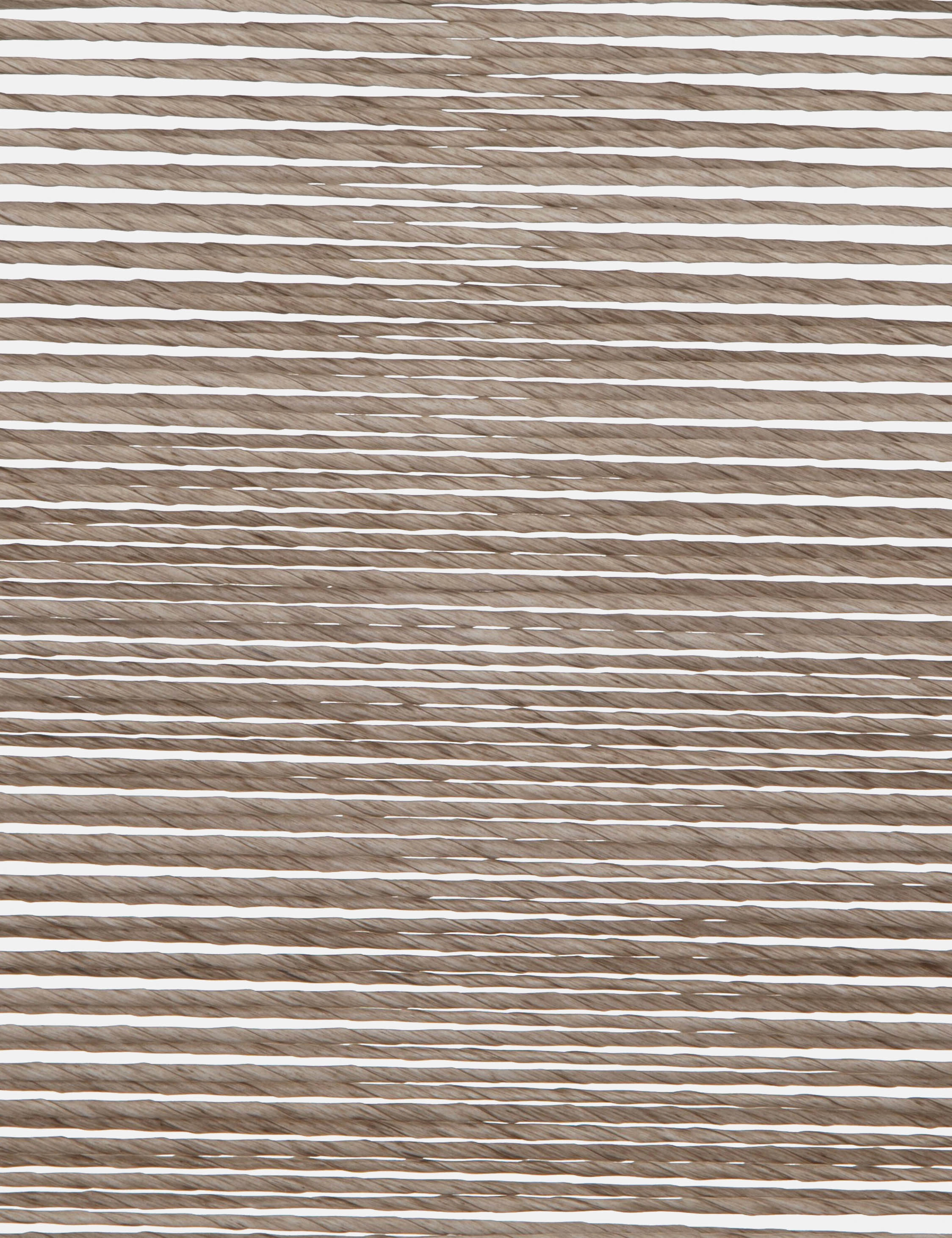 Wally Indoor / Outdoor Dining Chair