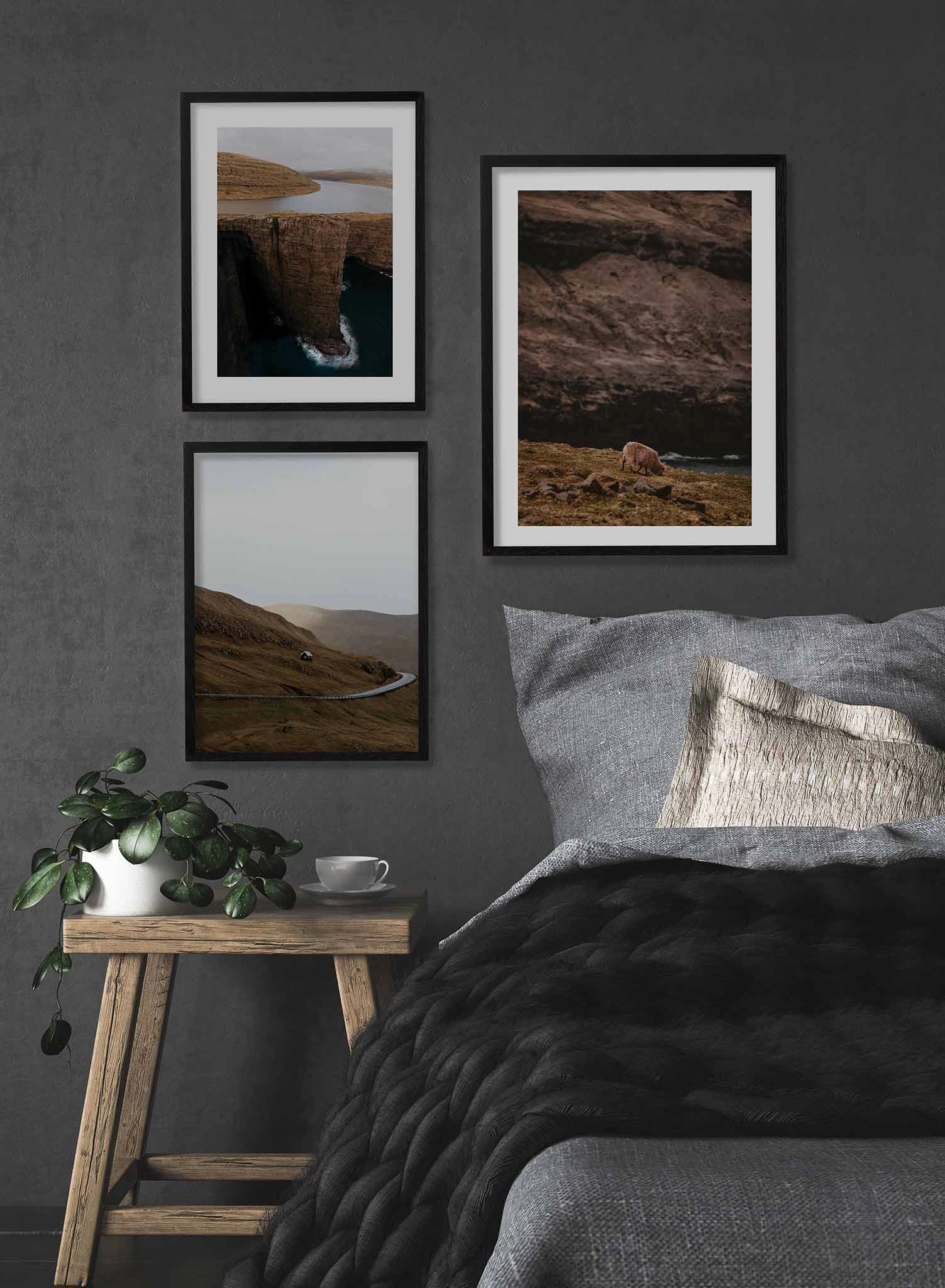 Wandering Sheep, Poster