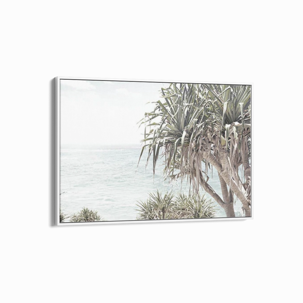 Wategos Byron Bay