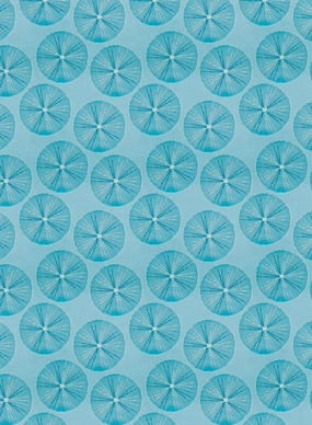Water Lilies, Wallpapernordic minimalist wallpaper