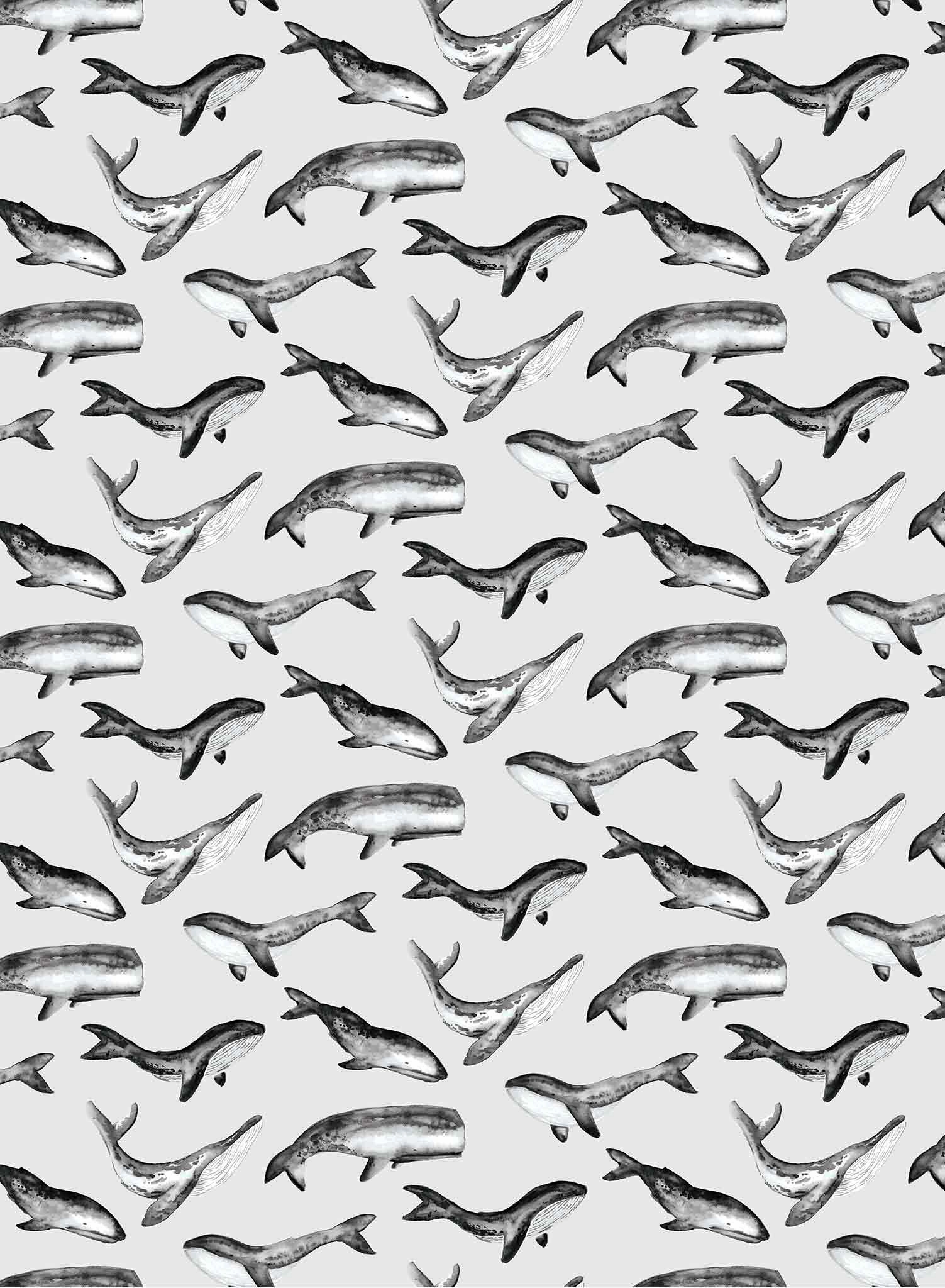 Whale Tale, Wallpaper