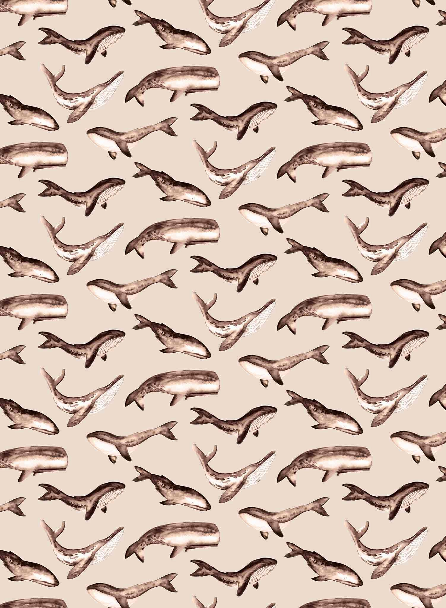 Whale Tale, Wallpaper