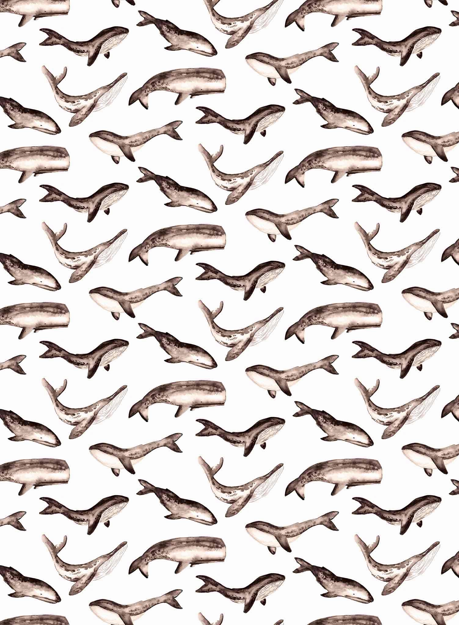 Whale Tale, Wallpaper